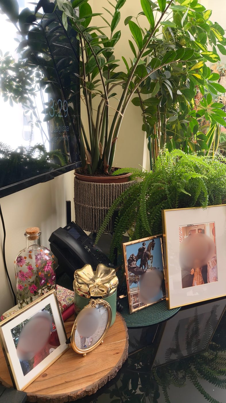A corner styled with plants and picture frames at varying heights