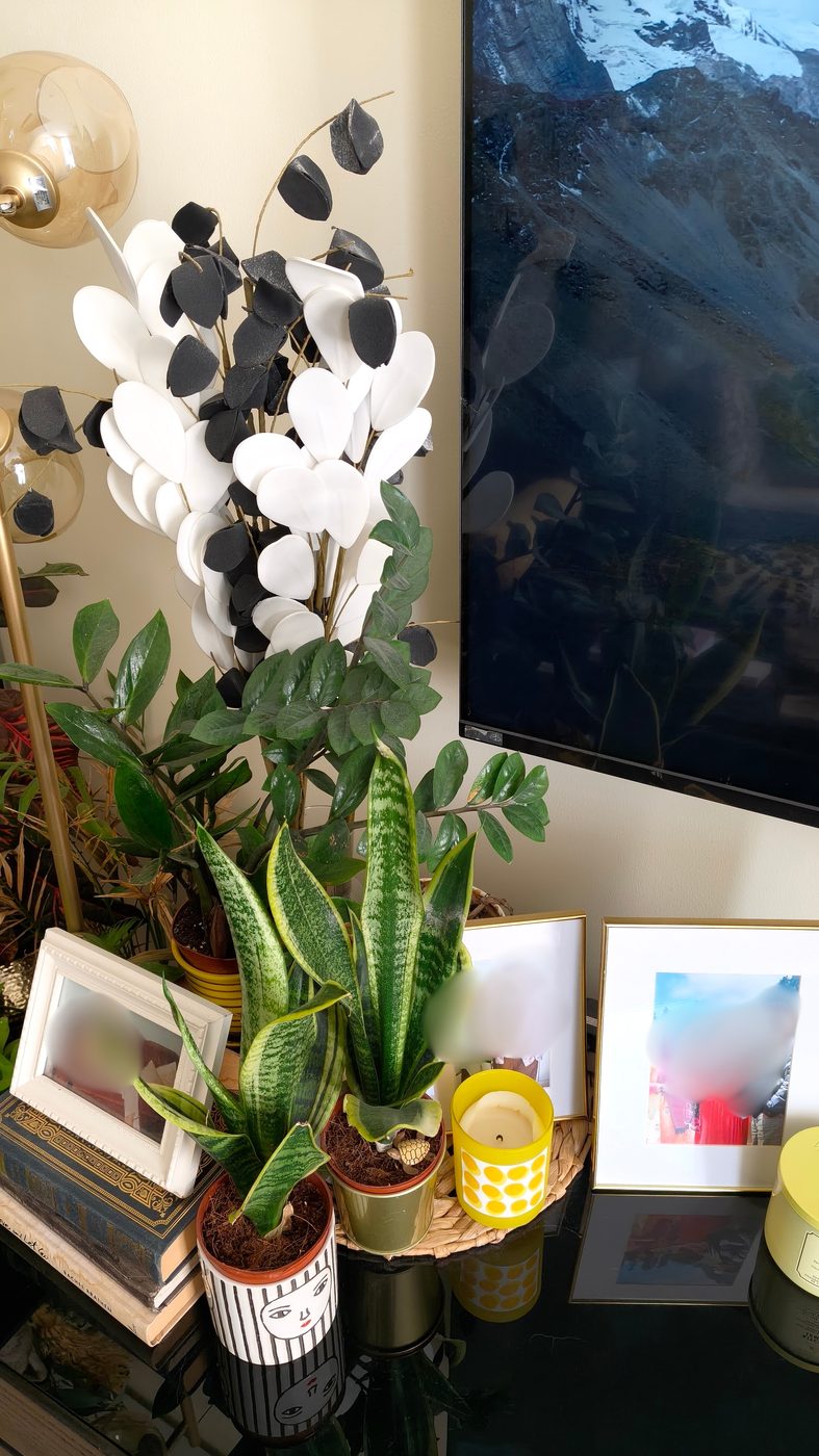 Books stacked as a small pedestal to lift a plant and a picture frame above the surface